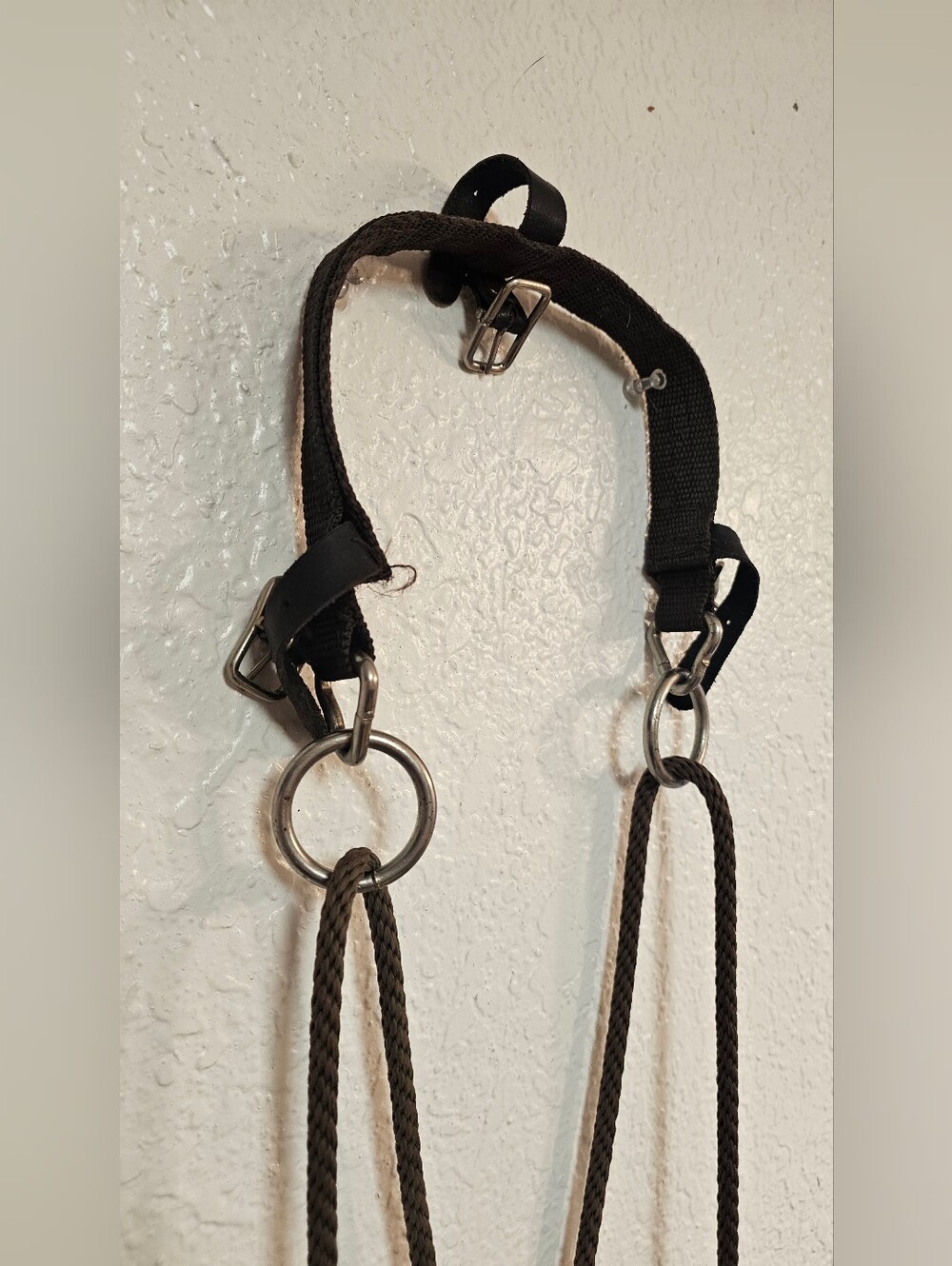 Tory Leather Chambon Training Aid - Picture 4 of 4